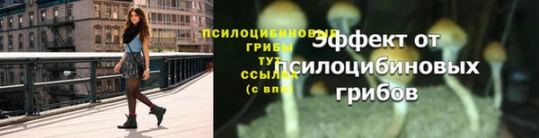 амф Дмитров