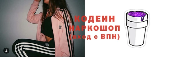 гашик Дмитриев