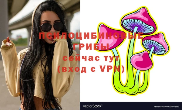 2c-b Елабуга