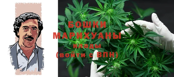 гашик Дмитриев