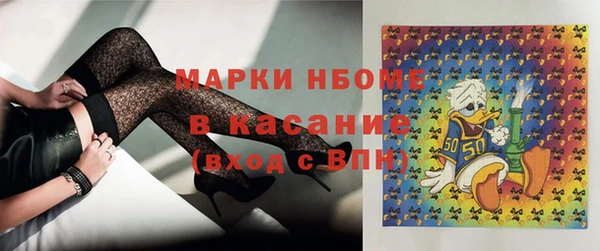 гашик Дмитриев