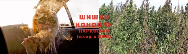 гашик Дмитриев
