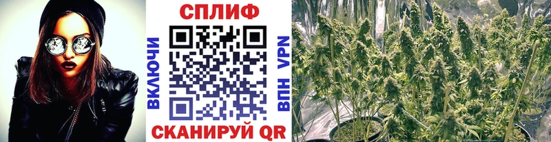 МАРИХУАНА Ganja Рыбинск